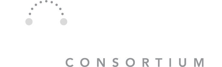 Logo of the company: dtc